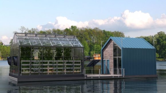 The floating vertical garden as a perfect solution for an urban environment