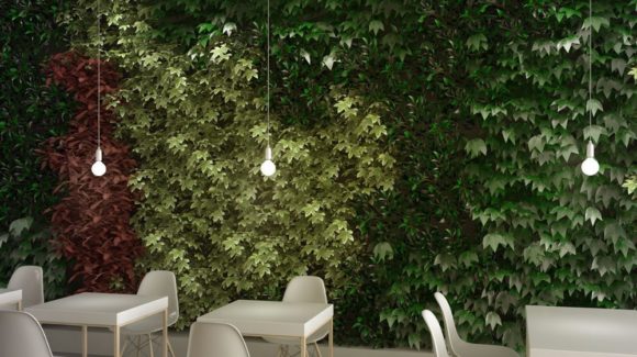 7 reasons why living walls are a must for commercial spaces