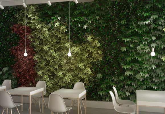 7 reasons why living walls are a must for commercial spaces