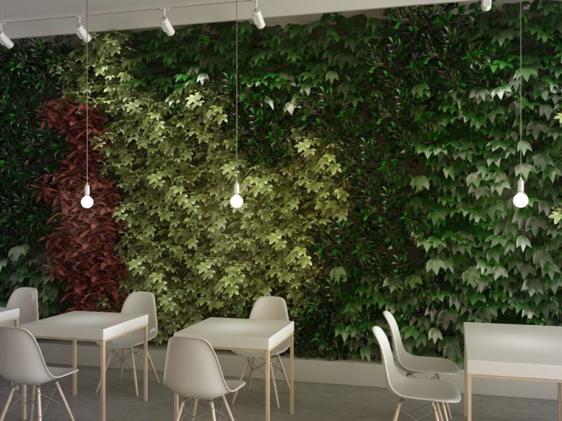 7 reasons why living walls are a must for commercial spaces