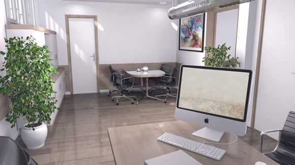 Plants in the office – why should you have them?